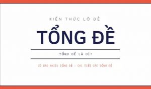 Tổng Đề Là Gì