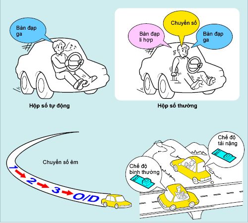 bộ số thường về là gì - Hình 3