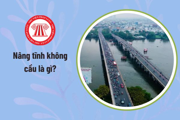 cầu tĩnh là gì - Hình 1