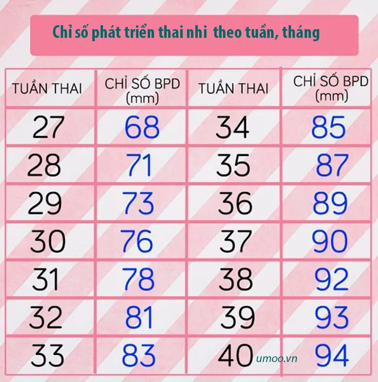đánh theo tuần là gì - Hình 2