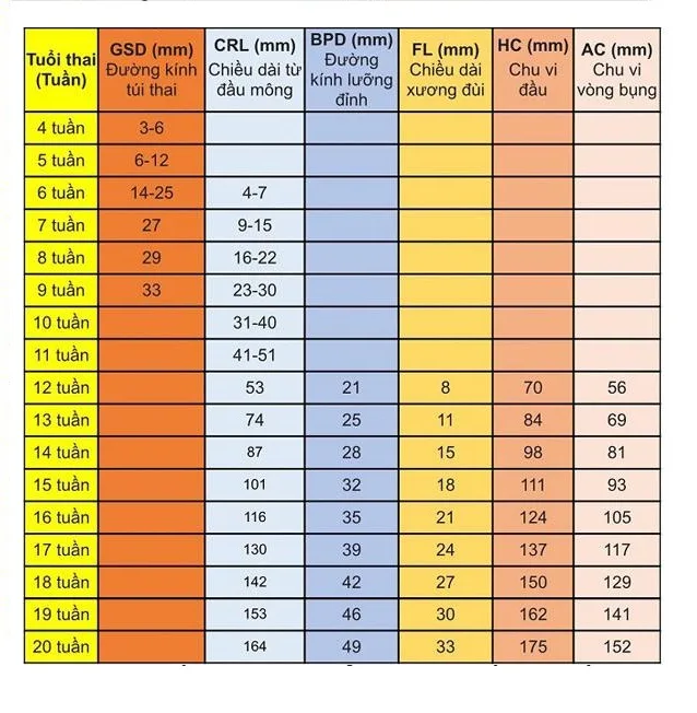 đánh theo tuần là gì - Hình 3