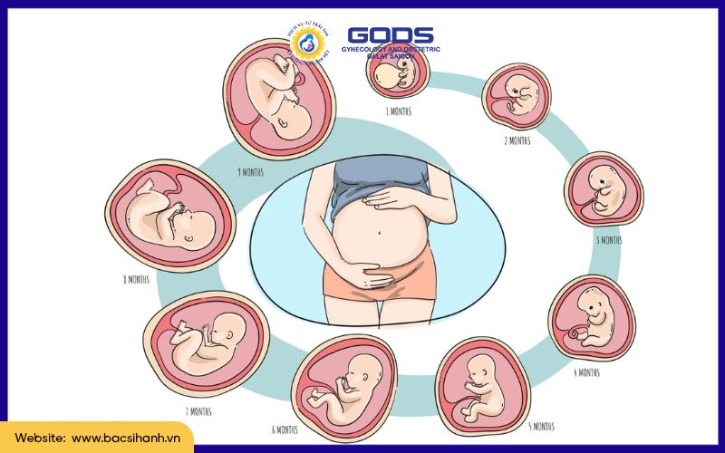 đánh theo tuần là gì - Hình 5