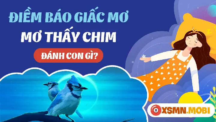 điềm thấy chim bay vào nhà đánh con gì - Hình 4