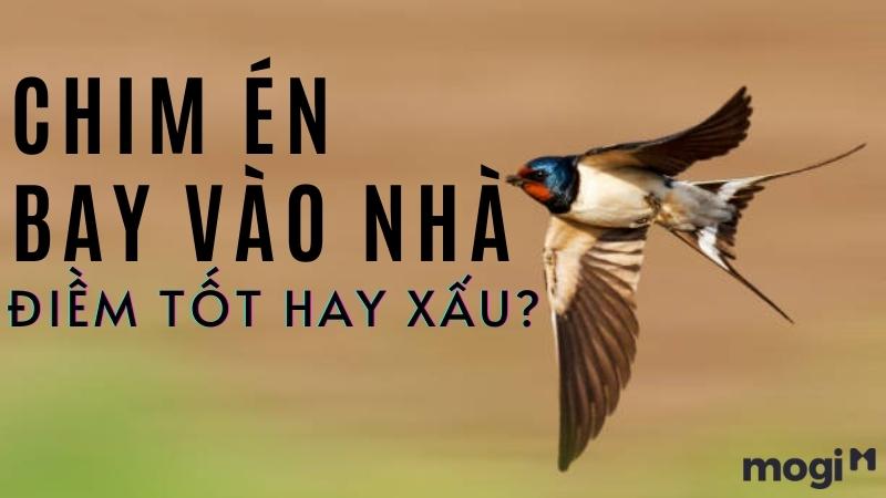 điềm thấy chim lạ bay vòng quanh nhà đánh con gì - Hình 3