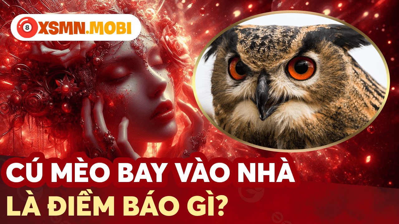 điềm thấy cú mèo kêu trước nhà đánh con gì - Hình 5