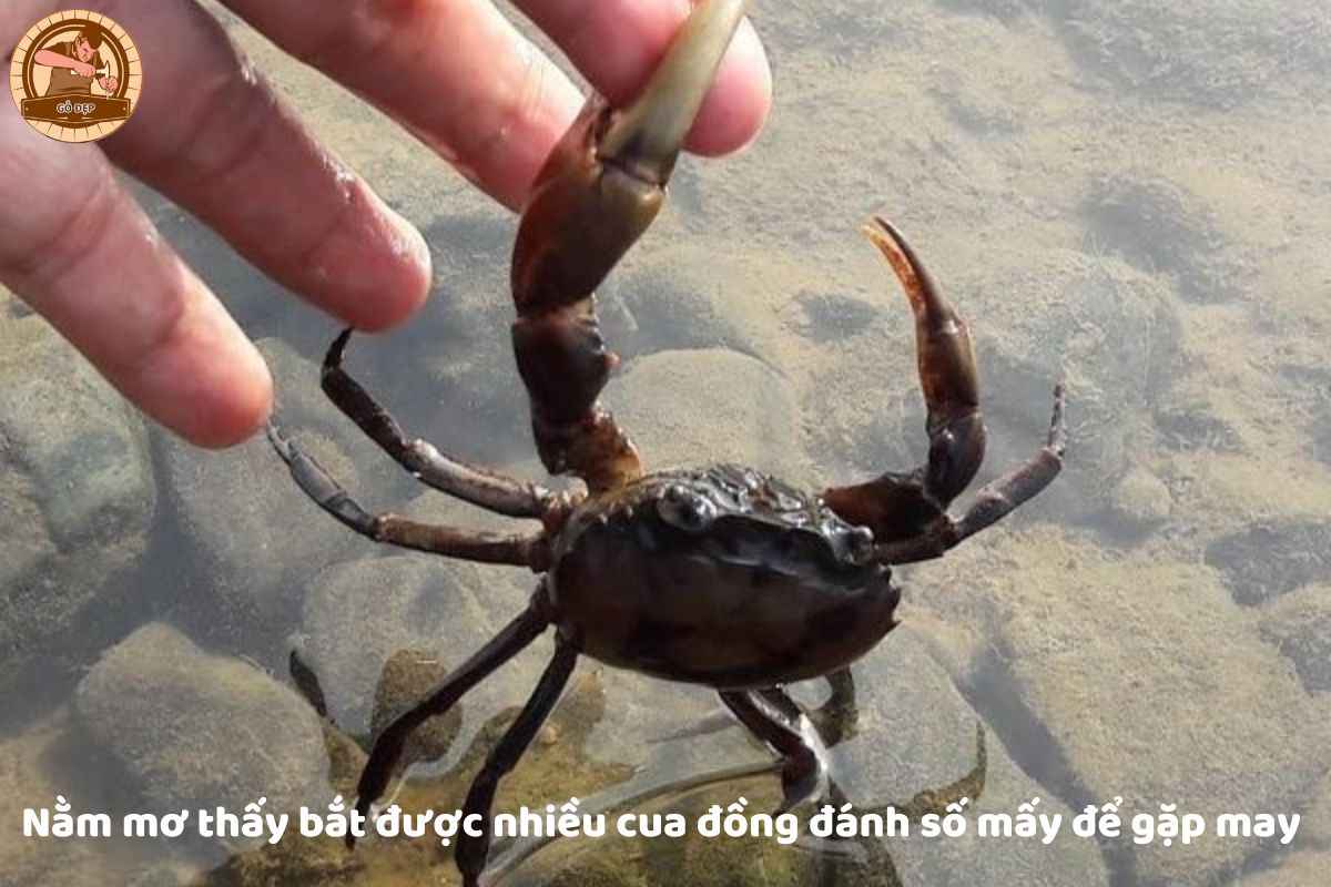 điềm thấy cửa tự đóng đánh con gì - Hình 2