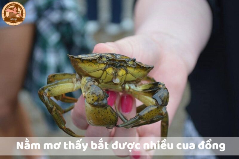 điềm thấy cửa tự đóng đánh con gì - Hình 4