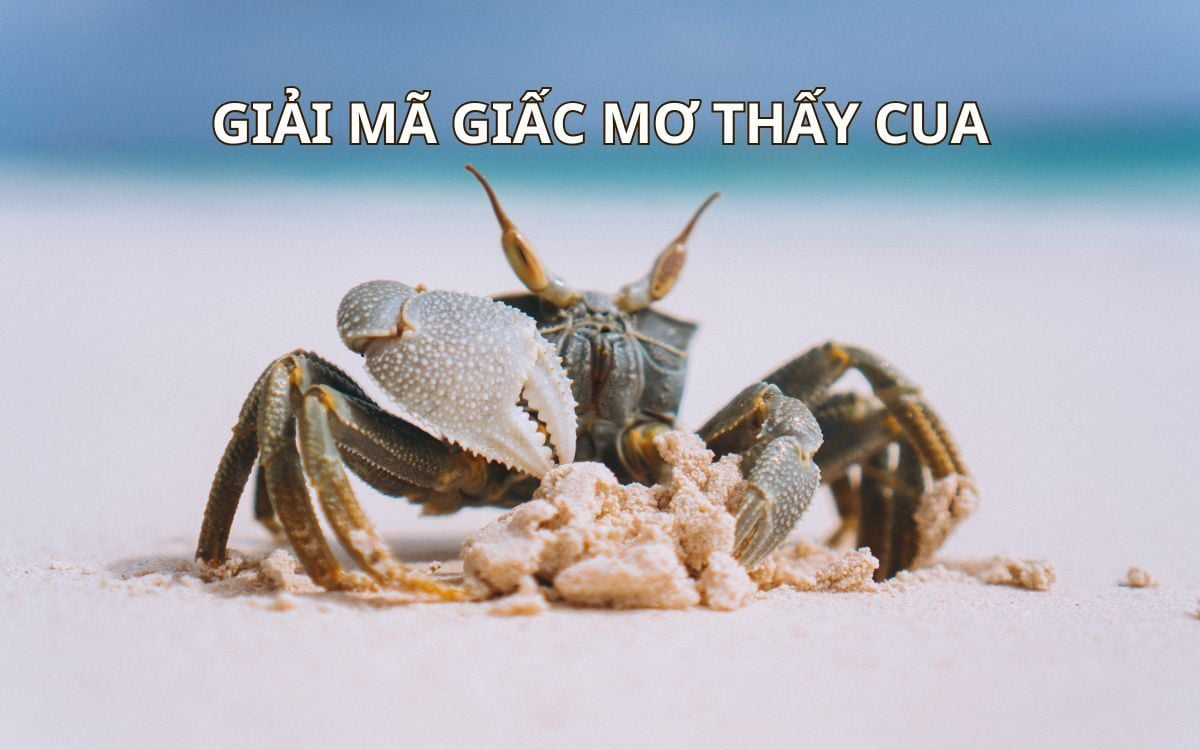 điềm thấy cửa tự đóng đánh con gì - Hình 1