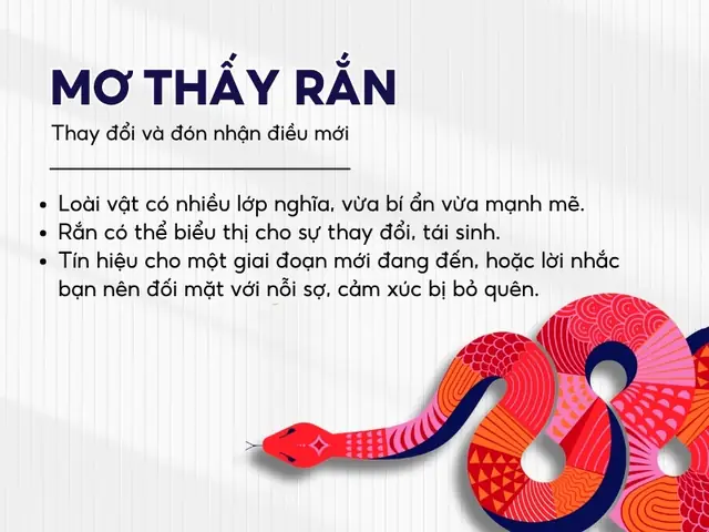 điềm thấy đồ tự rơi ban đêm đánh con gì - Hình 2