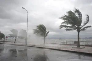 điềm thấy gió lớn thổi vào nhà đánh con gì