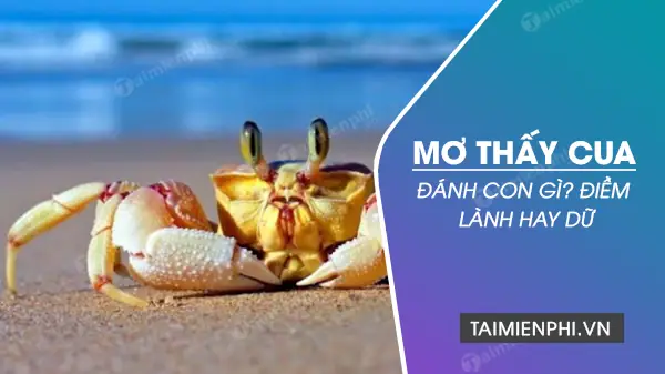 điềm thấy khách đến bất ngờ đánh con gì - Hình 4