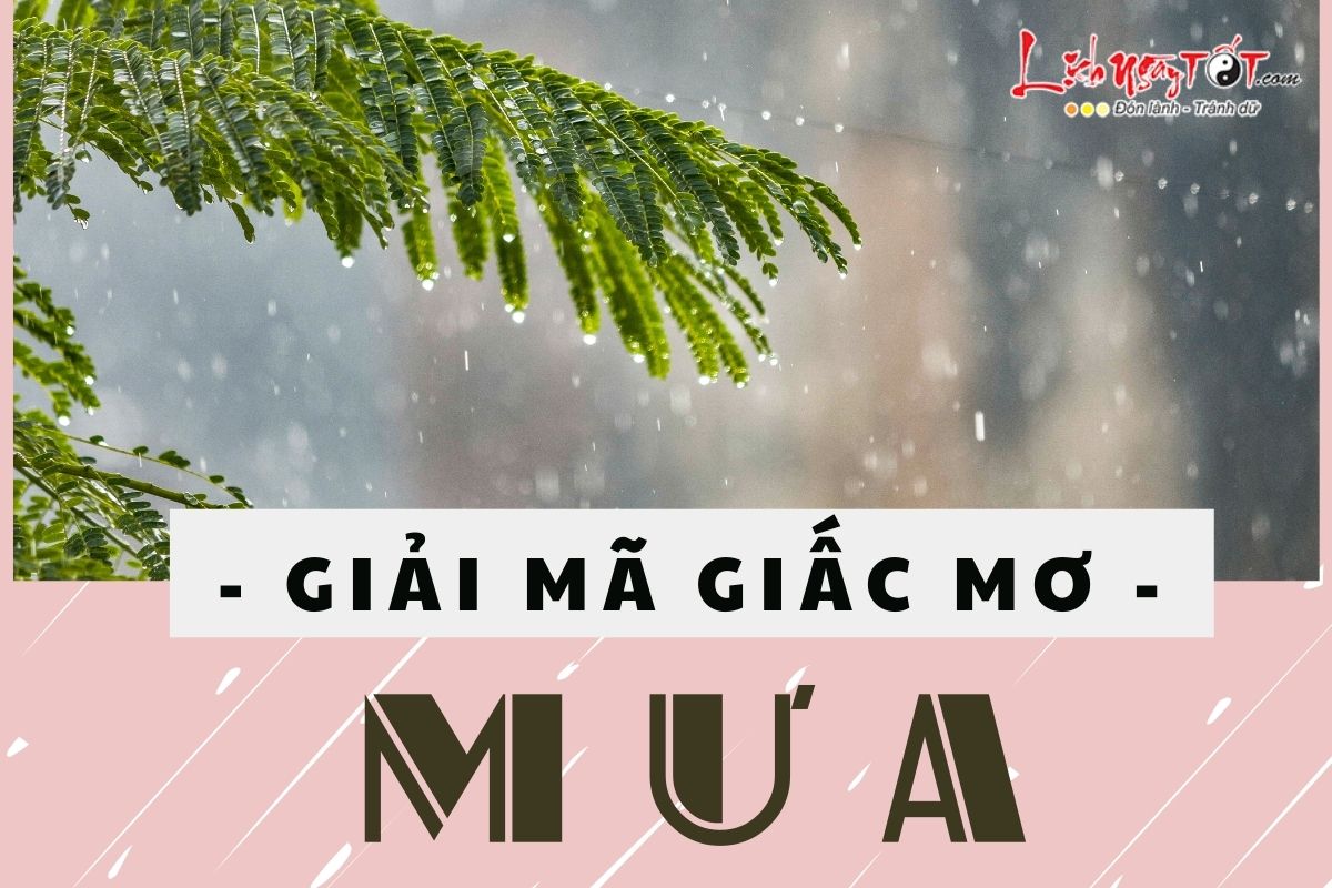 điềm thấy mưa bất thường trong nhà đánh con gì - Hình 2