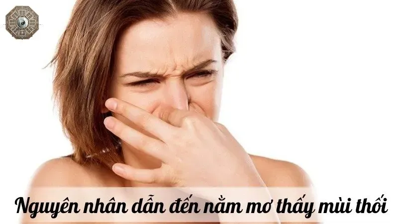 điềm thấy mùi lạ trong nhà đánh con gì - Hình 2