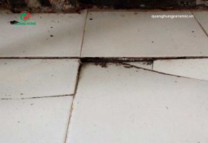 điềm thấy nền nhà lún đánh con gì