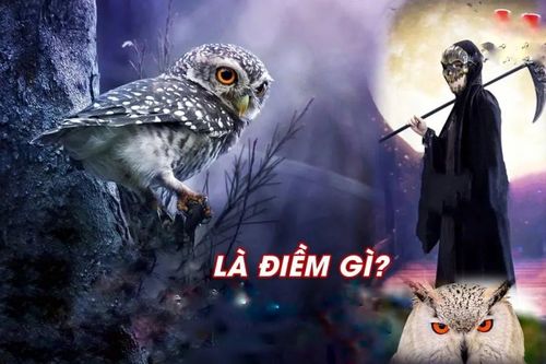 điềm thấy nhà có tiếng động lạ đánh con gì - Hình 4
