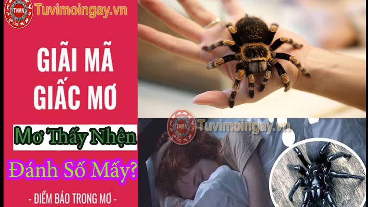 điềm thấy nhện giăng khắp nhà đánh con gì - Hình 2