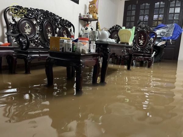 điềm thấy nước tràn vào nhà đánh con gì - Hình 3