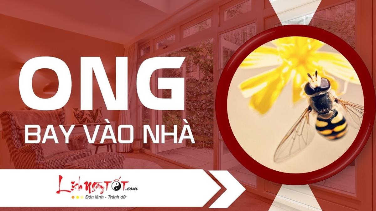 điềm thấy ong bay vào nhà đánh con gì - Hình 2