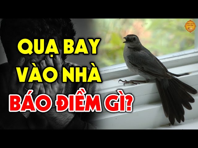 điềm thấy quạ đậu trên mái nhà đánh con gì - Hình 2