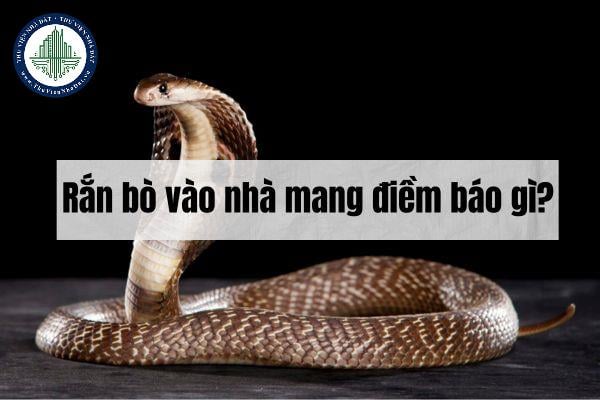 điềm thấy rắn bò quanh nhà đánh con gì - Hình 3