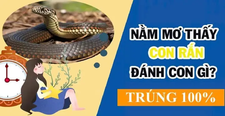 điềm thấy rắn chết trong sân đánh con gì - Hình 2