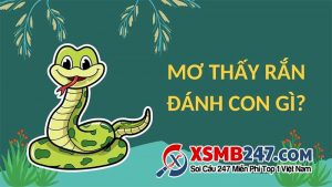 điềm thấy rắn xuất hiện trong sân đánh con gì