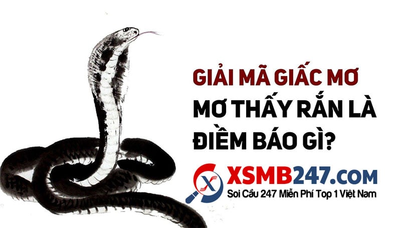 điềm thấy rắn xuất hiện trong sân đánh con gì - Hình 5