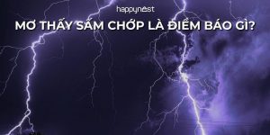 điềm thấy sấm sét gần nhà đánh con gì