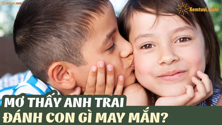mơ thấy anh trai đánh con gì - Hình 2