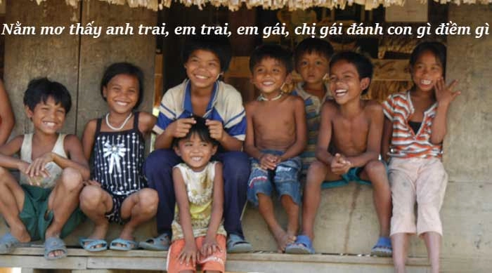 mơ thấy anh trai đánh con gì - Hình 4