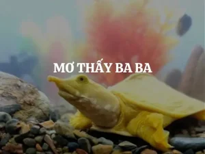 mơ thấy bà con đánh con gì