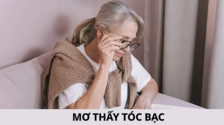 mơ thấy bạc đánh con gì - Hình 4