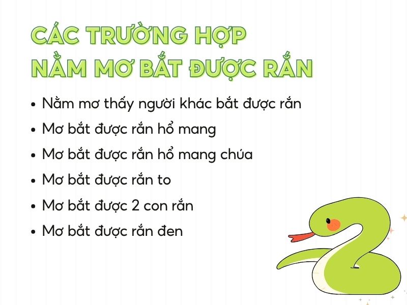 mơ thấy bắt rắn đánh con gì - Hình 5