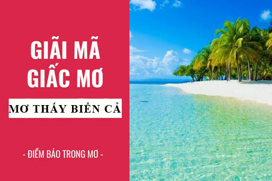 mơ thấy biển đánh con gì - Hình 2