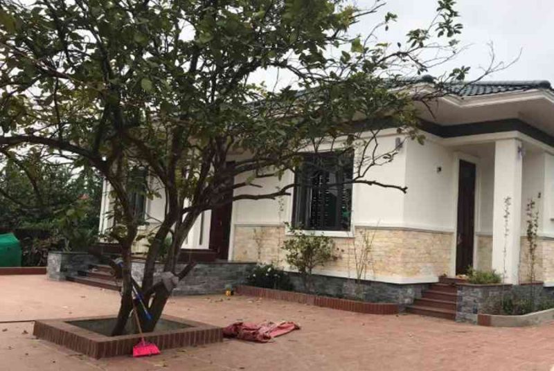 mơ thấy biệt thự đánh con gì - Hình 3