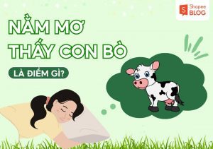 mơ thấy bò đánh con gì