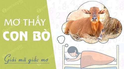 mơ thấy bò đánh con gì - Hình 3