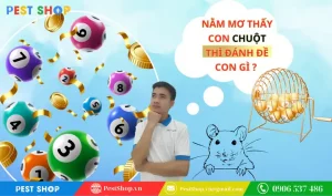 mơ thấy bọ hung đánh con gì