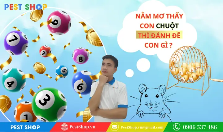 mơ thấy bọ hung đánh con gì - Hình 1
