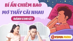 mơ thấy bố vợ đánh con gì