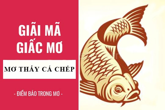 mơ thấy cá chép đánh con gì - Hình 1