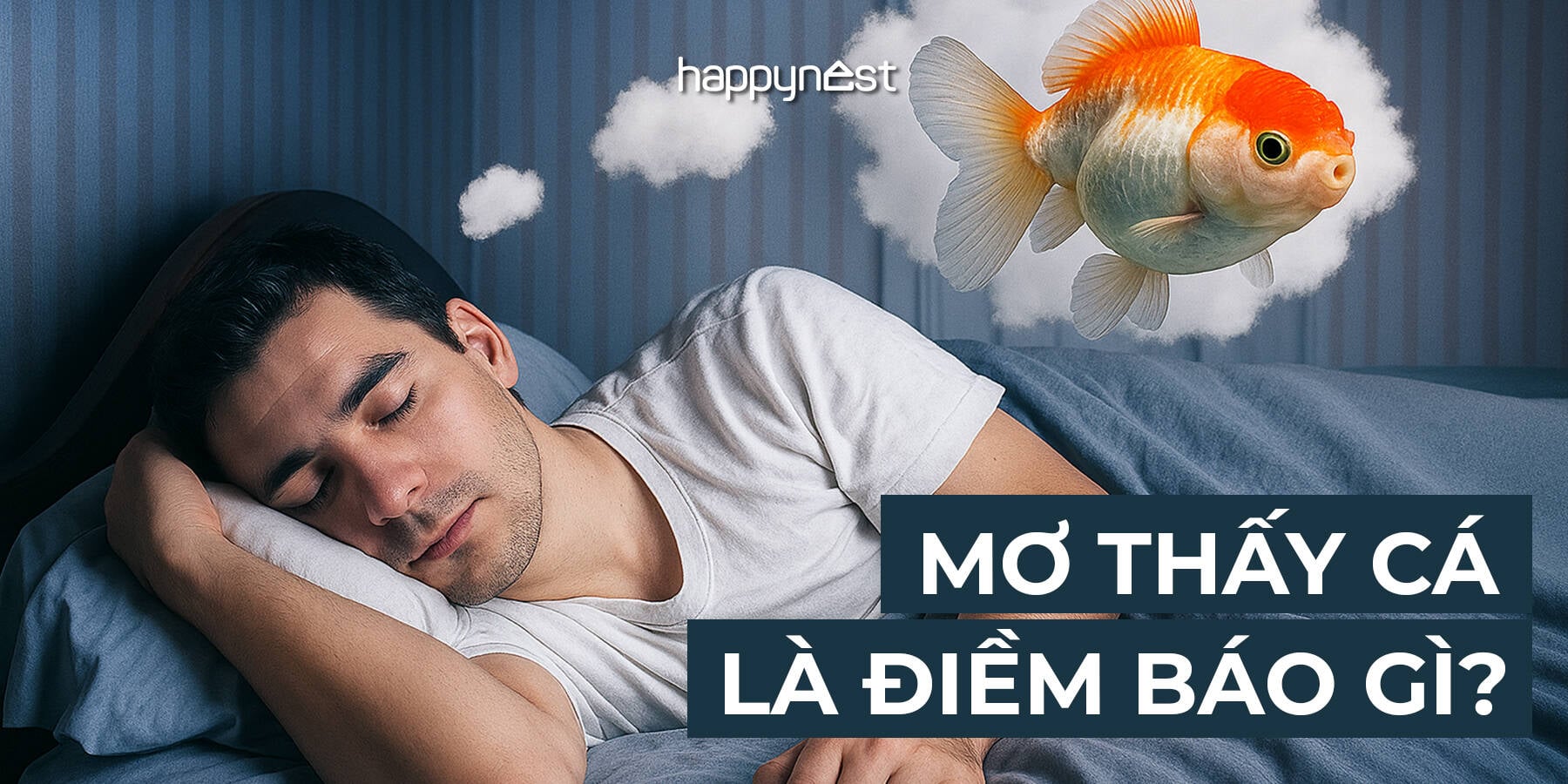 mơ thấy cá cơm đánh con gì - Hình 3