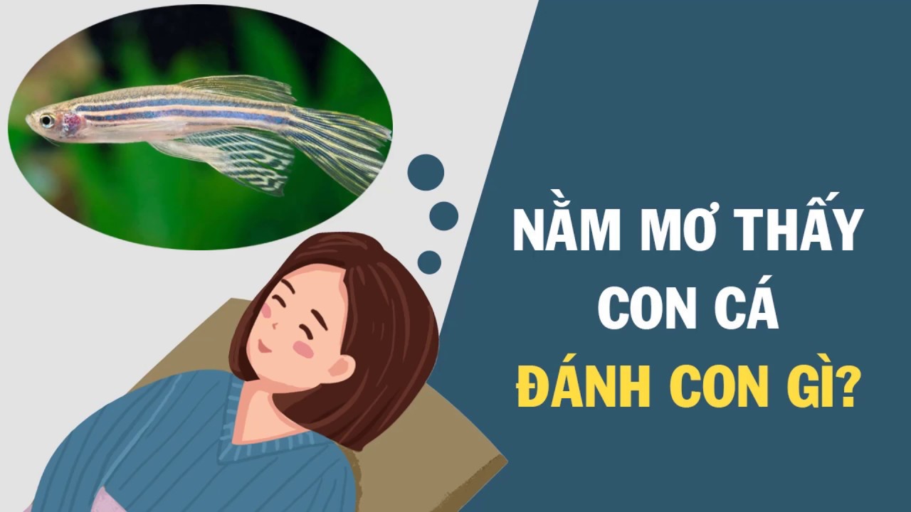 mơ thấy cá lăng đánh con gì - Hình 4