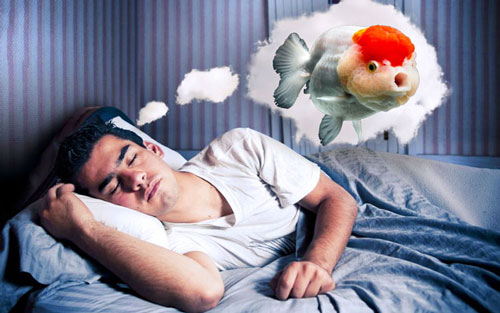 mơ thấy cá lăng đánh con gì - Hình 5