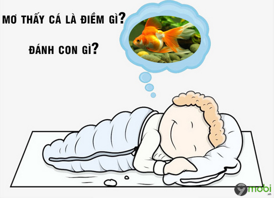 mơ thấy cá lăng đánh con gì - Hình 1