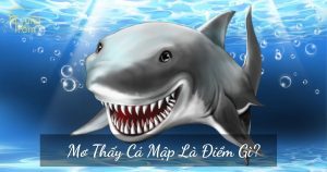 mơ thấy cá mập đánh con gì