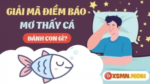 mơ thấy cá mú đánh con gì