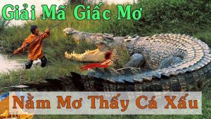 mơ thấy cá sấu nước ngọt đánh con gì