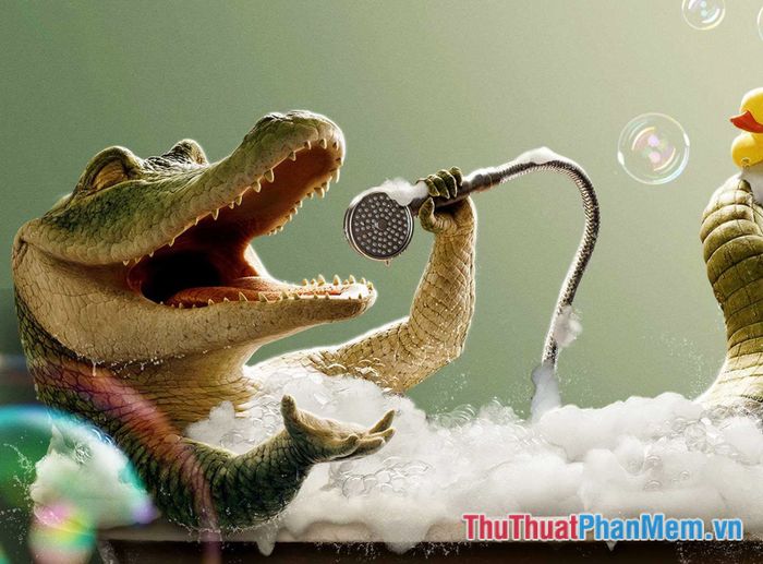 mơ thấy cá sấu nước ngọt đánh con gì - Hình 5
