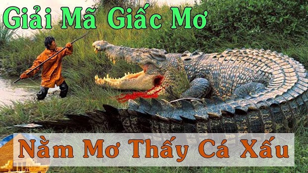 mơ thấy cá sấu nước ngọt đánh con gì - Hình 1
